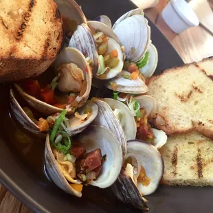 Clams