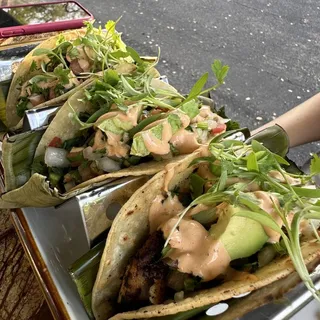 Tacos de Pescado