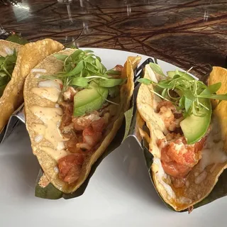 Tacos de Camaron