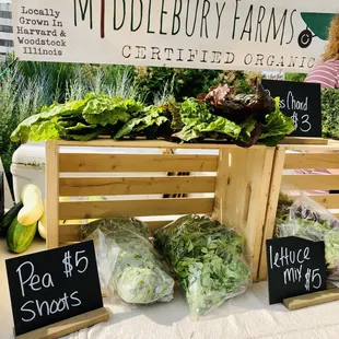 a display of fresh vegetables