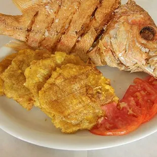 Best Pargo Rojo in Town