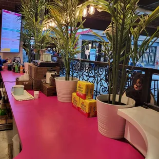 a bright pink counter with planters