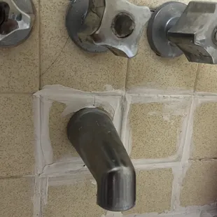 shower is totally rotting out and I'm sure the rot goes much deeper than a new facade will be able to account for.