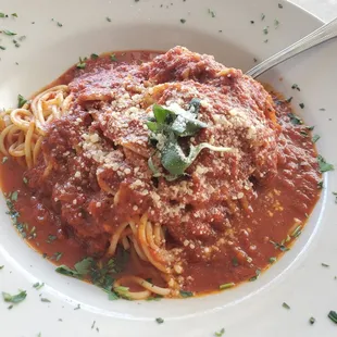 Lunch portion of pasta with marinara