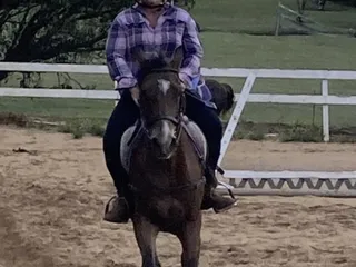 Jilans Stable