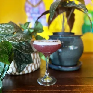 drink
