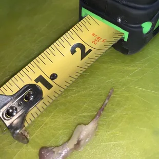 I almost choked on this 2 inch sharp bone in their chicken and dumplings!