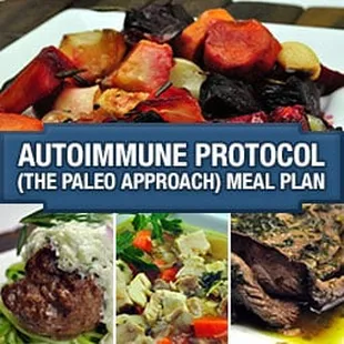 Auto Immune Protocol meal plan - one of 3 available meal plans