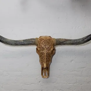 a bull skull mounted on a wall