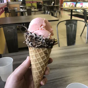 Pine cone ice cream in a chocolate and coconut sugar cone.