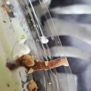 Hair in ice cream