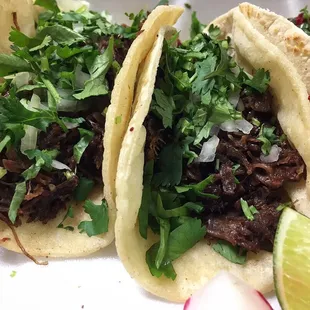 Barbacoa Tacos