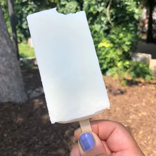 Coconut paleta