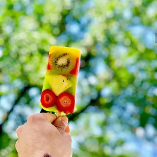 a hand holding a popsicle of fruit