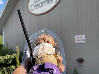 UDairy Creamery