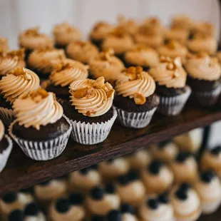 Honey roasted peanut butter on chocolate mini cupcakes