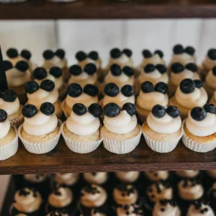 Blueberry lemon cream cheese mini cupcakes