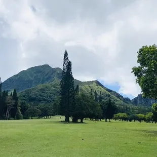 Beautiful views from the pasture like greens.  Cattle, sheep or goats would keep the grass shorter.