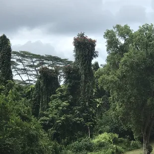 14th Tee box.  The Hula dancers with crowns of flowers.