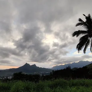 It's so cloudy that the sun is not visible this morning. We might have thunder showers today, 1-25-23.