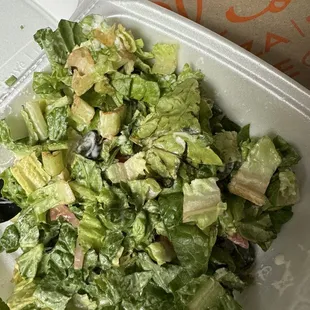 Moldy salad, black and pink leaves! Inedible.