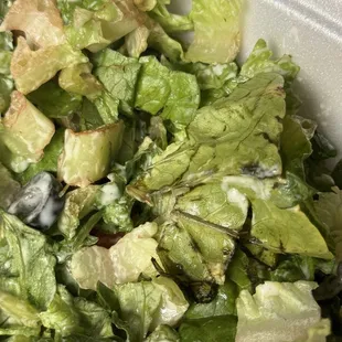 Dinner salad. Moldy, pink and black leaves.
