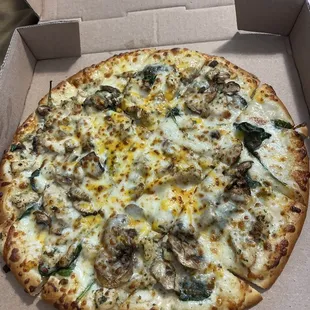 Grace's Alfredo pizza size medium. $14 for 12"