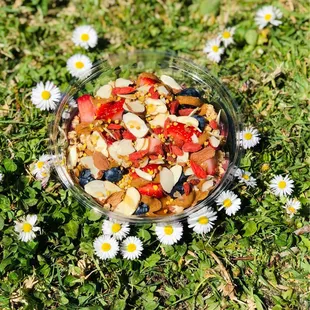 Gatherer bowl!