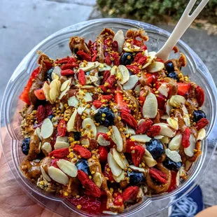 Gather Bowl plus PB (Large)