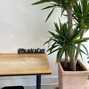 Very simple display with live plants