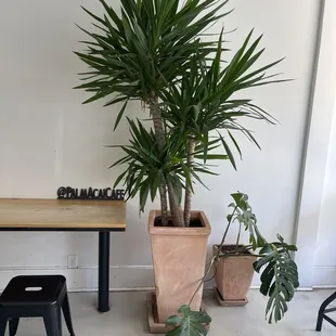 Relaxing, inviting atmosphere