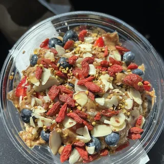 Gatherer Bowl Regular