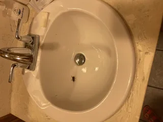 Island Retreat Condominiums