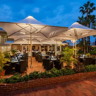 Palm Court terrace