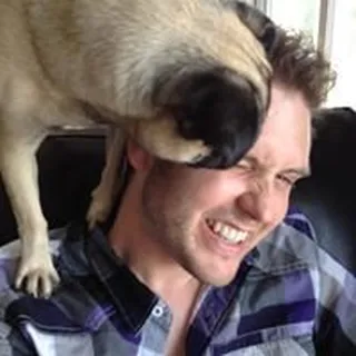 Darcy F.