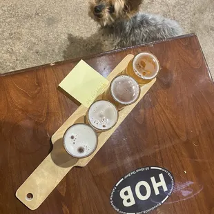 Outside allows dogs!