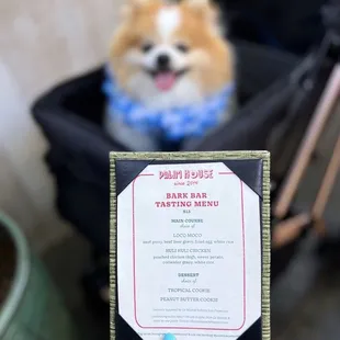 Bark Bar Tasting Menu: Loco Moco or Huli Huli Chicken + Cookie Dessert for $13 (free lei!)