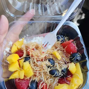 a hand holding a plastic container filled with fruit