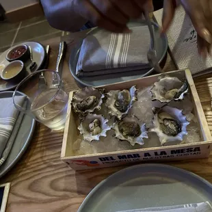 Oysters
