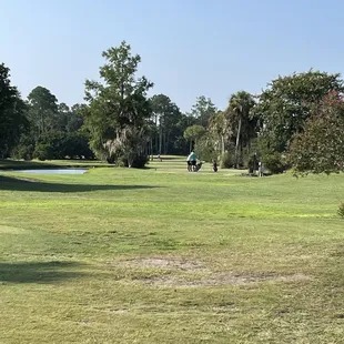 Grass is a little dry, of course it&apos;s August and it&apos;s hot.