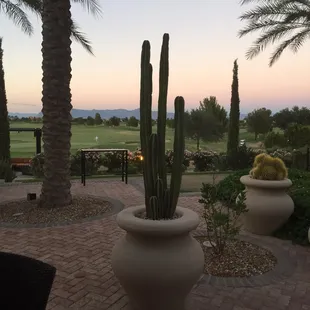 Love yourself with Dorothy Doctor