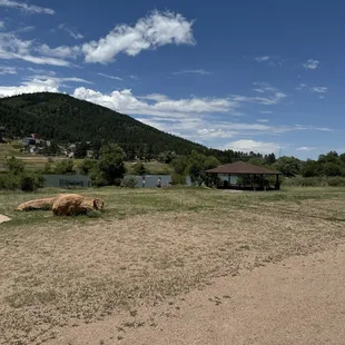 View from the walk path
