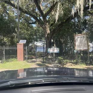 On the St. Jon's River.