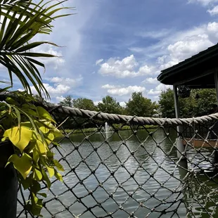 Table view