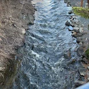 Right on the Lil River