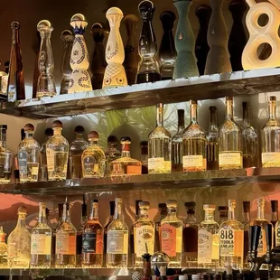 Look at this tequila selection!!  WOW!