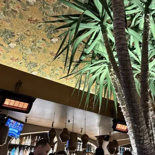 Bar area
