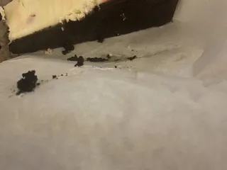 Belair Pizzeria Subs Wings & More