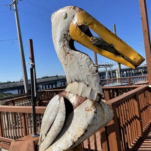 Pelican greeting you at the entrance
