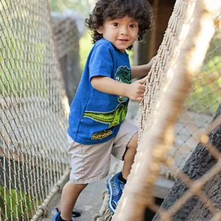 Climbing in the Tree House!